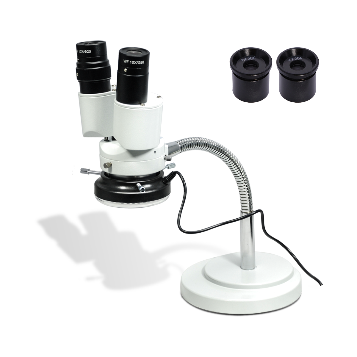 Stereo Microscope